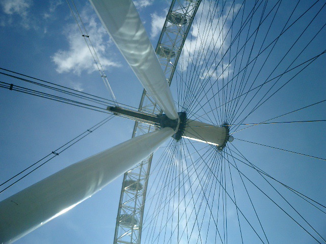 the wheel